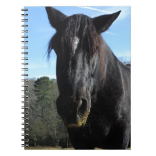 Caderno Espiral Cavalo de Rascunho Negro Resgatado