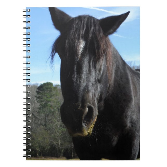 Caderno Espiral Cavalo de Rascunho Negro Resgatado (Frente)