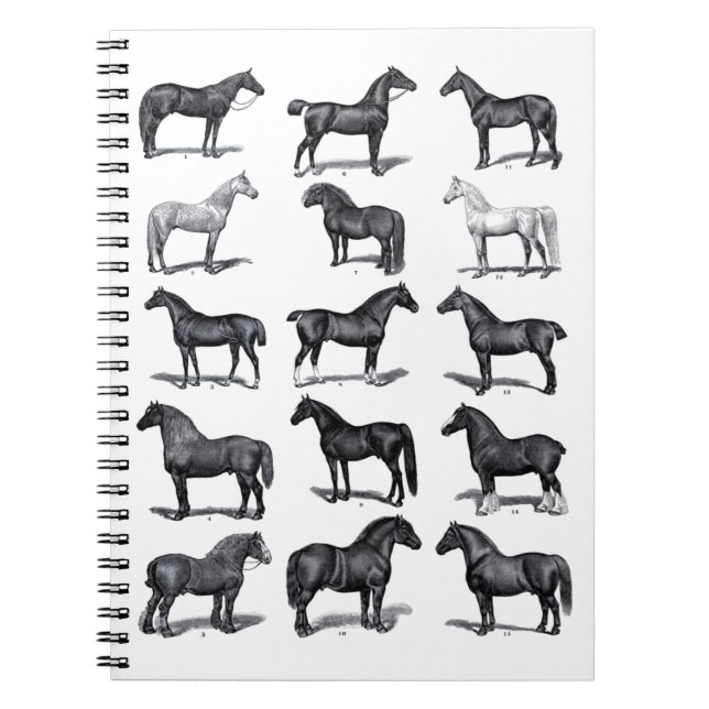 Caderno Espiral Cavalo de Vintagem Equestre Negro Elegante (Frente)