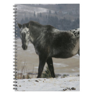 Caderno Espiral Cavalo do Appaloosa na neve