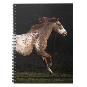 Caderno Espiral Cavalo do Appaloosa que funciona 4