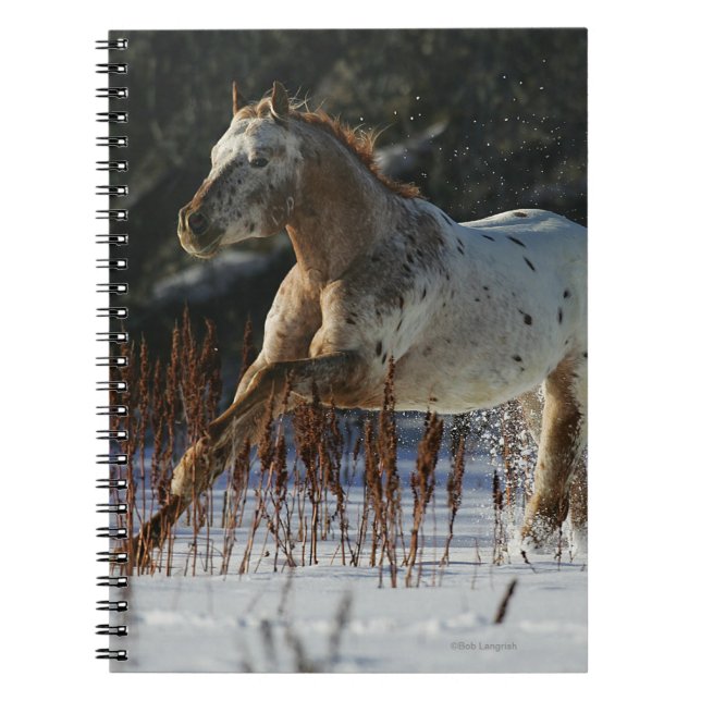 Caderno Espiral Cavalo do Appaloosa que funciona na neve (Frente)
