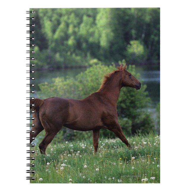 Caderno Espiral Cavalo do puro-sangue que está nas flores (Frente)