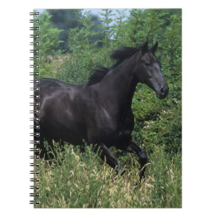 Caderno Espiral Cavalo do puro-sangue que funciona na grama