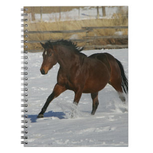 Caderno Espiral Cavalo do puro-sangue que funciona na neve