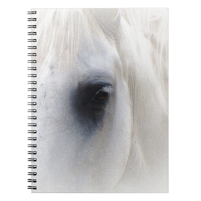 Caderno Espiral Cavalo & floral (Frente)