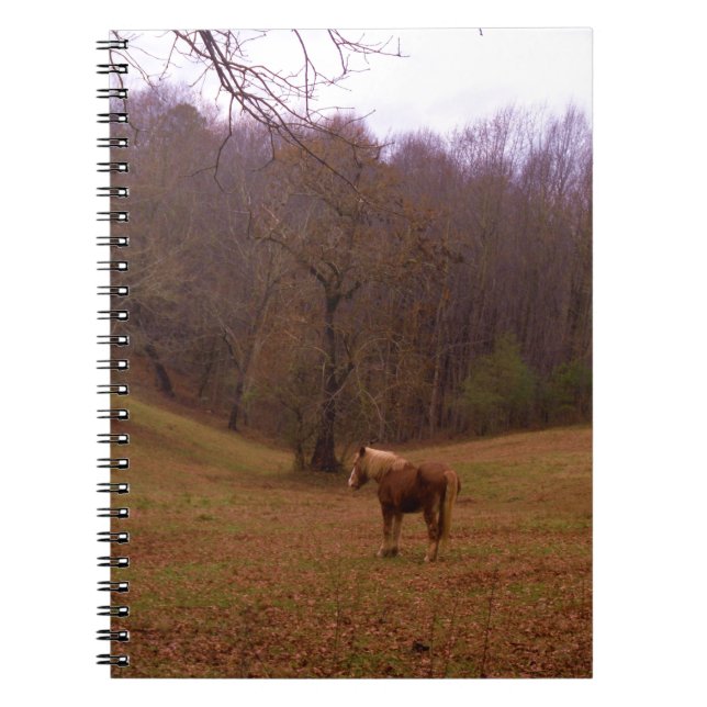 Caderno Espiral Cavalo Marrom e Loiro em um campo (Frente)
