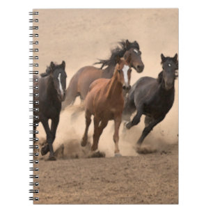 Caderno Espiral Cavalo na queda II
