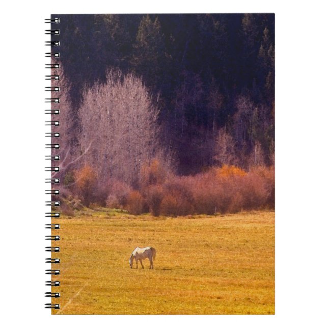 Caderno Espiral Cavalo na queda mim (Frente)