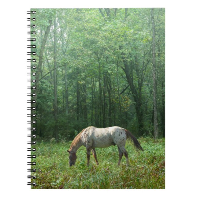 Caderno Espiral Cavalo no prado (Frente)