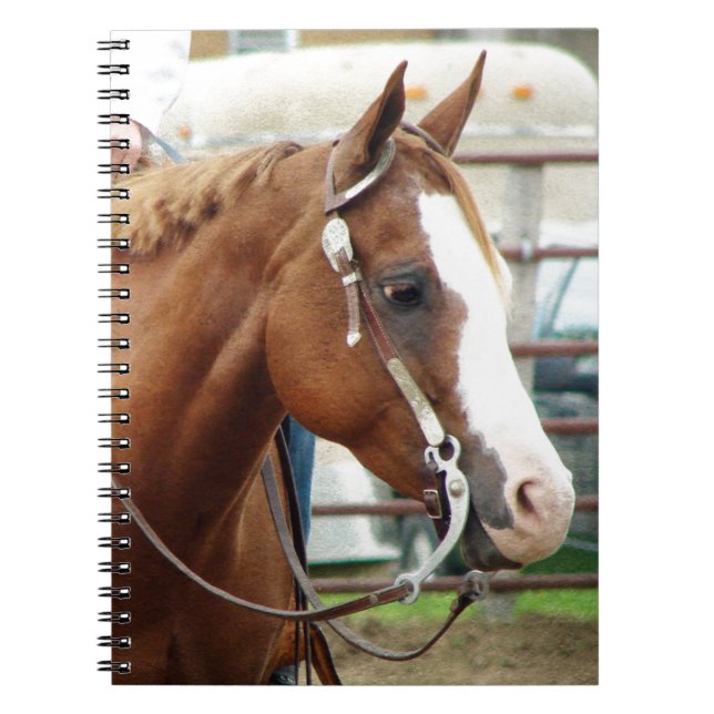 Caderno Espiral Cavalo Ocidental (Frente)