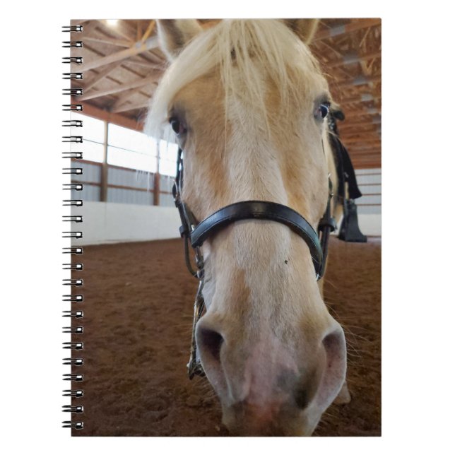 Caderno Espiral Cavalo "Oi" (Frente)
