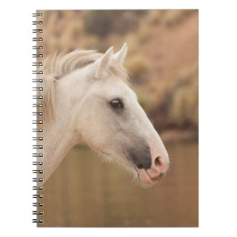 Caderno Espiral Cavalo Selvagem Branco