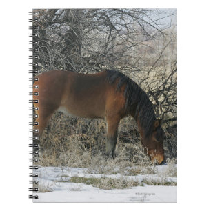 Caderno Espiral Cavalo selvagem do mustang na neve 1