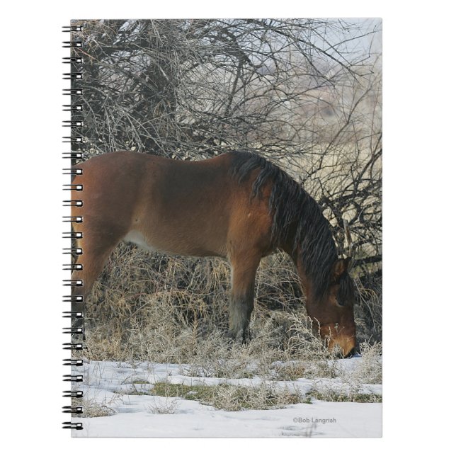 Caderno Espiral Cavalo selvagem do mustang na neve 1 (Frente)