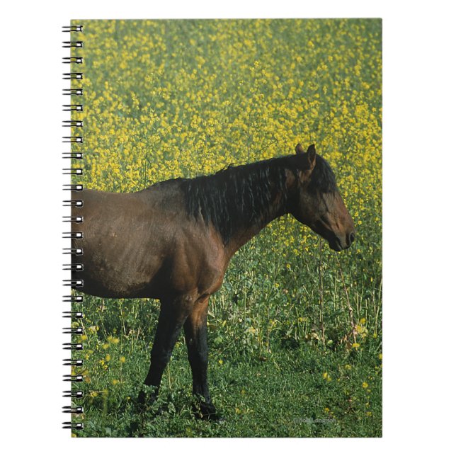 Caderno Espiral Cavalo selvagem do mustang que está nas flores (Frente)