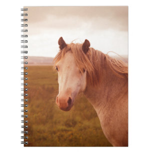 Caderno Espiral Cavalo selvagem do vintage