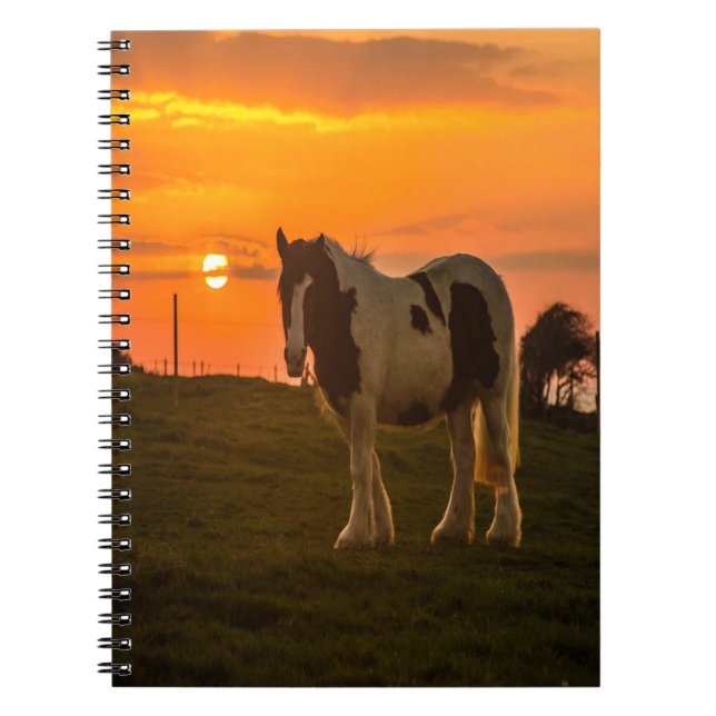 Caderno Espiral Cavalo Sol (Frente)