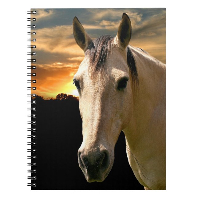 Caderno Espiral Cavalo sol (Frente)