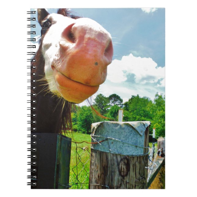 Caderno Espiral Cavalo Sorridente (Frente)