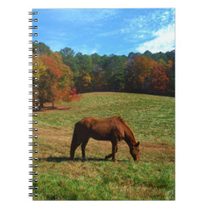 Caderno Espiral Cavalo vermelho castanho, árvores de queda, céus a