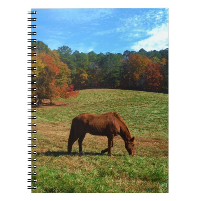 Caderno Espiral Cavalo vermelho castanho, árvores de queda, céus a (Frente)