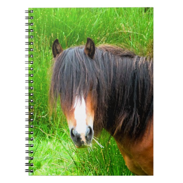 CADERNO ESPIRAL CAVALOS (Frente)