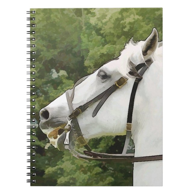 CADERNO ESPIRAL CAVALOS (Frente)