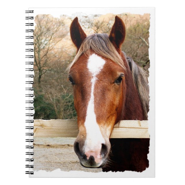 CADERNO ESPIRAL CAVALOS (Frente)