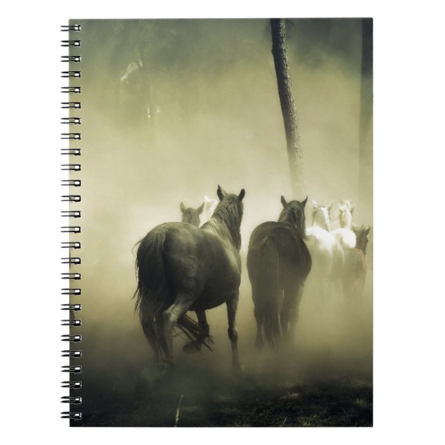CADERNO ESPIRAL CAVALOS BONITO (Frente)