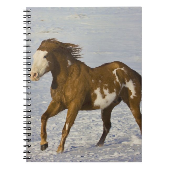 Caderno Espiral Cavalos Correndo na Neve (Frente)