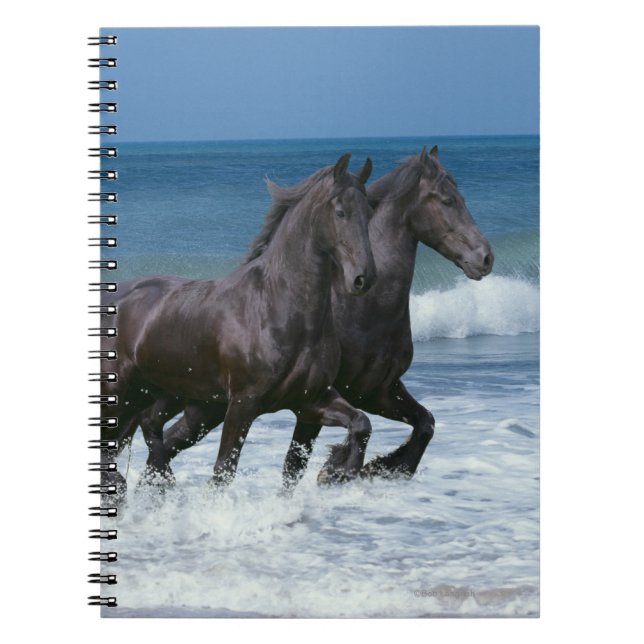 Caderno Espiral Cavalos da fantasia: Frisões & mar (Frente)