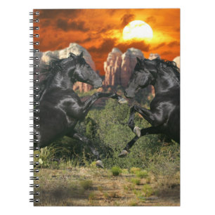 Caderno Espiral Cavalos da fantasia: Magia negra