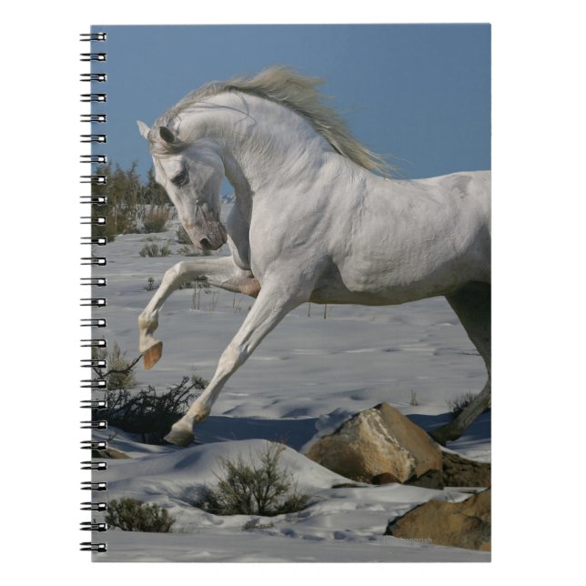 Caderno Espiral Cavalos da fantasia: Rei da neve (Frente)