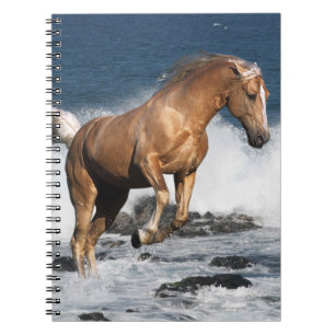 Caderno Espiral Cavalos da fantasia: Respingo do verão