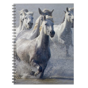 Caderno Espiral Cavalos de Camargue que funcionam na região