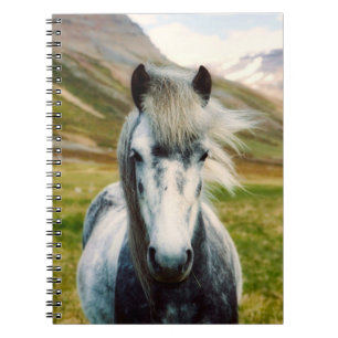 Caderno Espiral Cavalos de Cinzas selvagens nas montanhas
