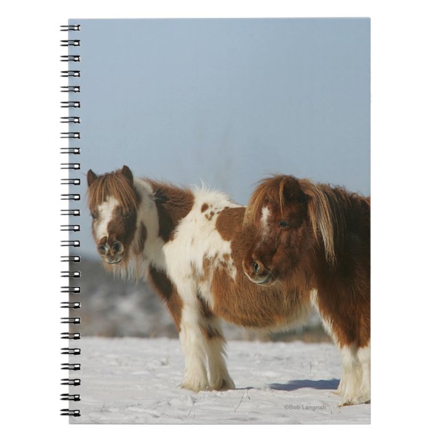 Caderno Espiral Cavalos diminutos que estão na neve (Frente)