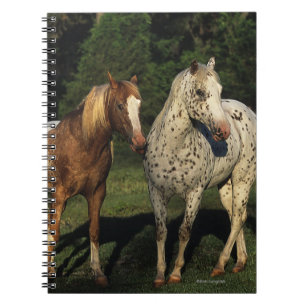 Caderno Espiral Cavalos do Appaloosa