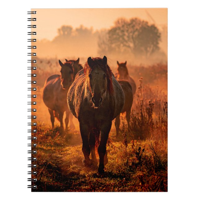 Caderno Espiral Cavalos konik selvagens que vieram correndo hetero (Frente)