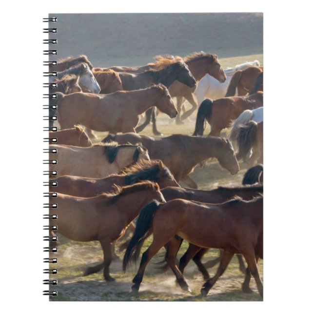 Caderno Espiral Cavalos no rancho, Mongólia Interior, China (Frente)