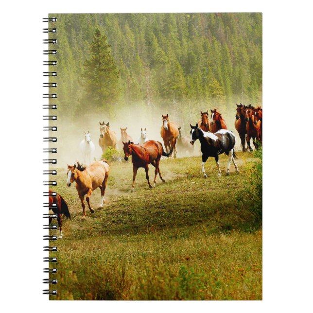 Caderno Espiral Cavalos Selvagens (Frente)