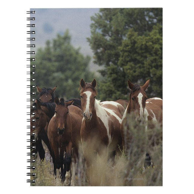 Caderno Espiral Cavalos selvagens 2 do mustang (Frente)