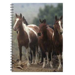 Caderno Espiral Cavalos selvagens 7 do mustang