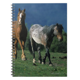 Caderno Espiral Cavalos selvagens do mustang