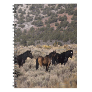 Caderno Espiral Cavalos selvagens do mustang no deserto 2