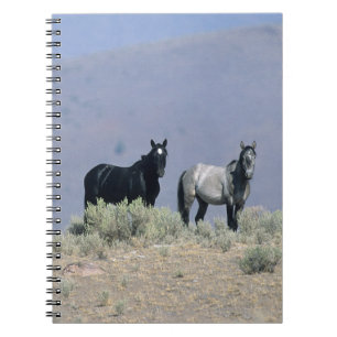 Caderno Espiral Cavalos selvagens do mustang no deserto 3