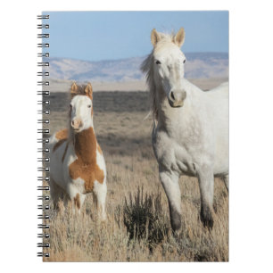 Caderno Espiral Cavalos Selvagens em Casa na Bacia de Sandwash