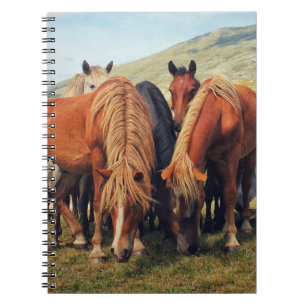 Caderno Espiral Cavalos Selvagens Livno Nature Scene