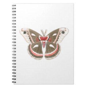 Caderno Espiral Cecropia Moth Notebook